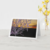 Almond Tree at Night Karte (Gelbe Blume)