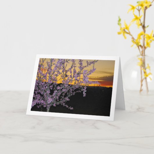 Almond Tree at Night Karte (Gelbe Blume)