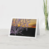 Almond Tree at Night Karte (Vorderseite)