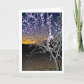 Almond Tree at Night Karte (Vorderseite)