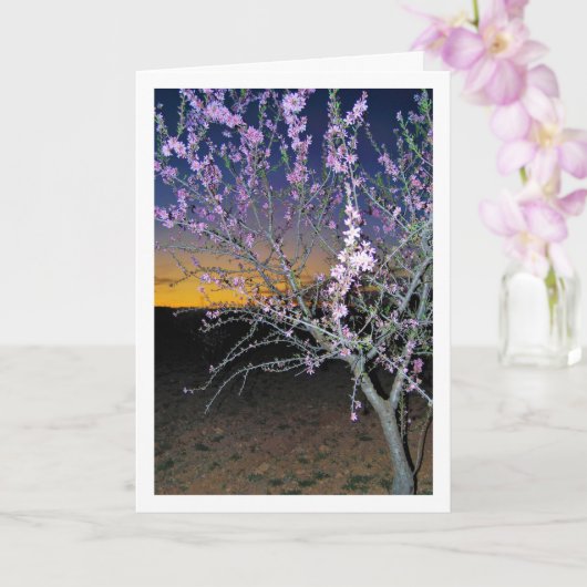 Almond Tree at Night Karte (Orchidee)