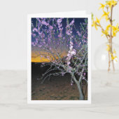 Almond Tree at Night Karte (Gelbe Blume)