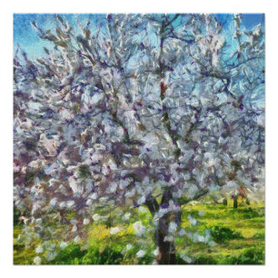 Almond Tree Blossom Kunstmalerei Poster
