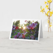 Almond Tree Blossom Sunset Karte (Gelbe Blume)