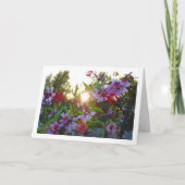 Almond Tree Blossom Sunset Karte (Vorderseite)