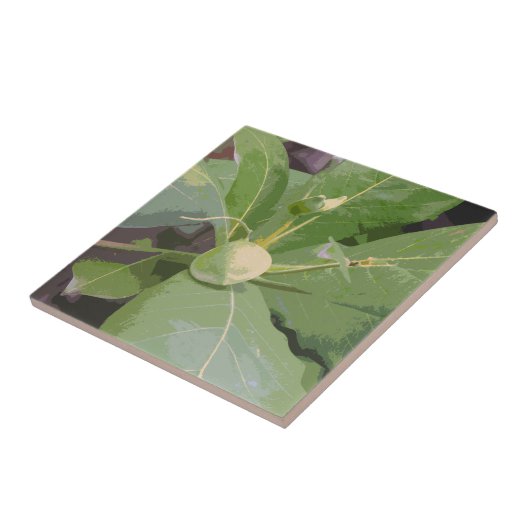 Almond Tree Closeup Fliese (Seite)