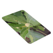 Almond Tree Closeup Magnet (Rechte Seite)