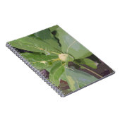 Almond Tree Closeup Notizblock (Rechte Seite)