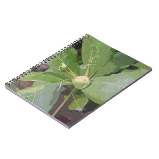 Almond Tree Closeup Notizblock (Linke Seite)