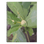 Almond Tree Closeup Notizblock (Vorderseite)