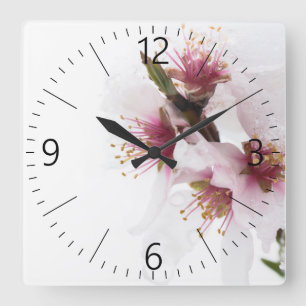 Almond tree flowers covered by snow quadratische wanduhr