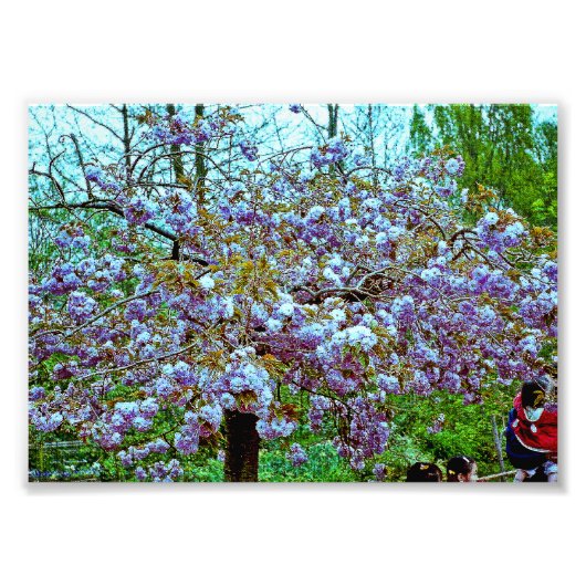 Almond Tree im Monet's Garden Fotodruck (Vorne)