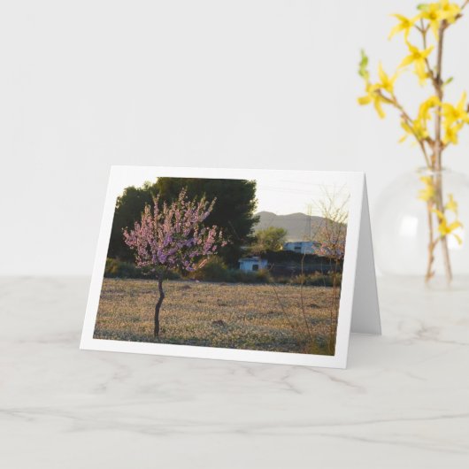 Almond Tree im Orchard Karte (Gelbe Blume)