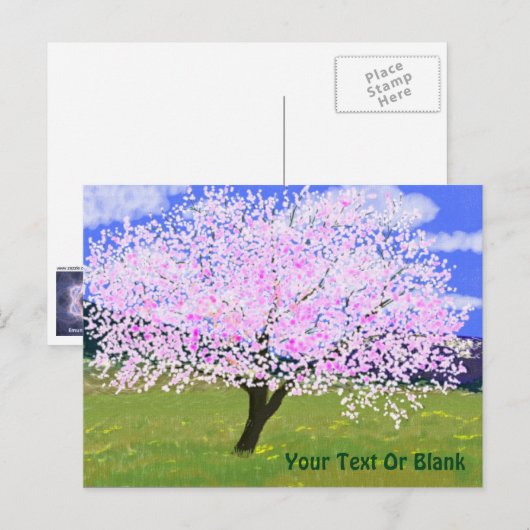 Almond Tree in Bloom Postkarte (Vorne/Hinten)