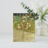 Almond Tree in Blossom Vincent van Gogh Postcard Postkarte (Stehend Vorderseite)