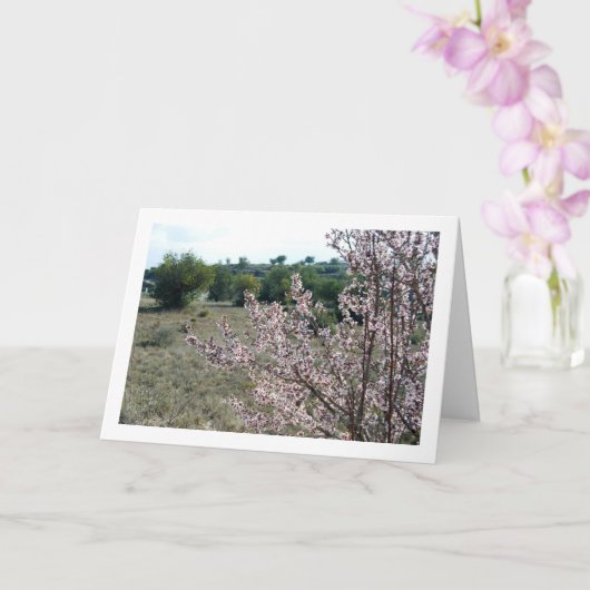 Almond Tree mit Blossom Karte (Orchidee)