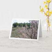 Almond Tree mit Blossom Karte (Gelbe Blume)