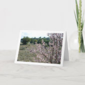 Almond Tree mit Blossom Karte (Vorderseite)