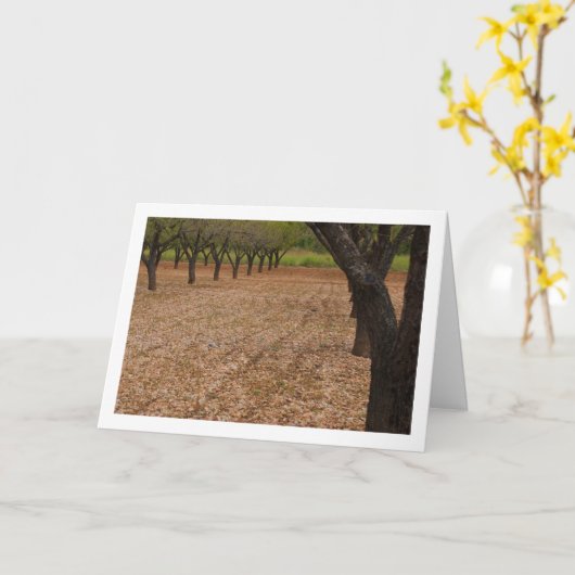 Almond Tree Orchard Karte (Gelbe Blume)