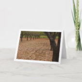 Almond Tree Orchard Karte (Vorderseite)