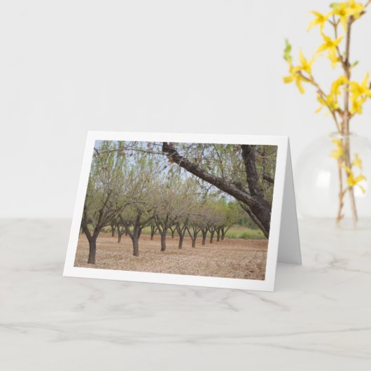 Almond Tree Orchard Karte (Gelbe Blume)