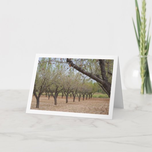 Almond Tree Orchard Karte (Vorderseite)