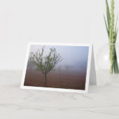 Almond Tree Orchard on Foggy Morning Karte (Vorderseite)