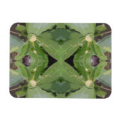 Almond Tree Pattern Magnet (Horizontal)