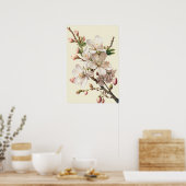 Almons Blossoms Blume Art Print Poster (Küche)