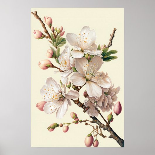 Almons Blossoms Blume Art Print Poster (Vorne)