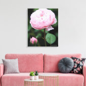 Alnwick Castle Rose Leinwanddruck (Insitu (Wohnzimmer))