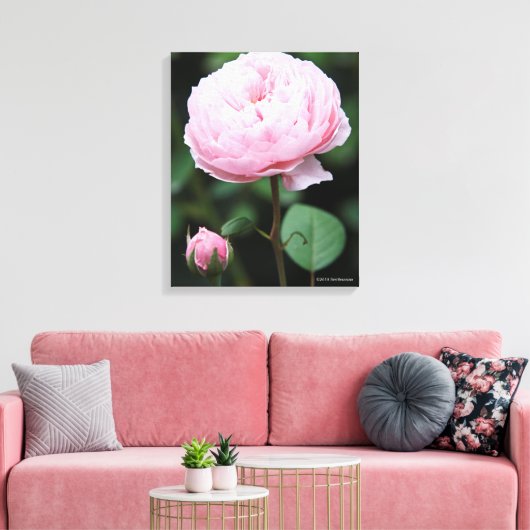 Alnwick Castle Rose Leinwanddruck (Insitu (Wohnzimmer))