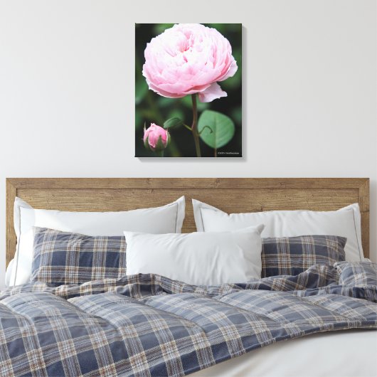 Alnwick Castle Rose Leinwanddruck (Insitu (Schlafzimmer))