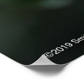 Alnwick Castle Rose Poster (Ecke)