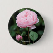 Alnwick-Schloss-Rose Button (Vorderseite)