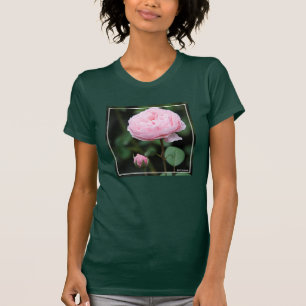 Alnwick-Schloss-Rose T-Shirt