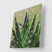 Aloe-"Alligator" Variegata Succulent Quadratische Wanduhr (Winkel)