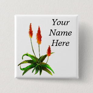 Aloe-Aquarell-Namensschild Button