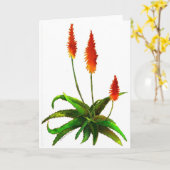 Aloe Aquarellkarte Karte (Gelbe Blume)