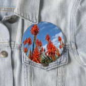 Aloe Arborescens Knopf Button (Beispiel)