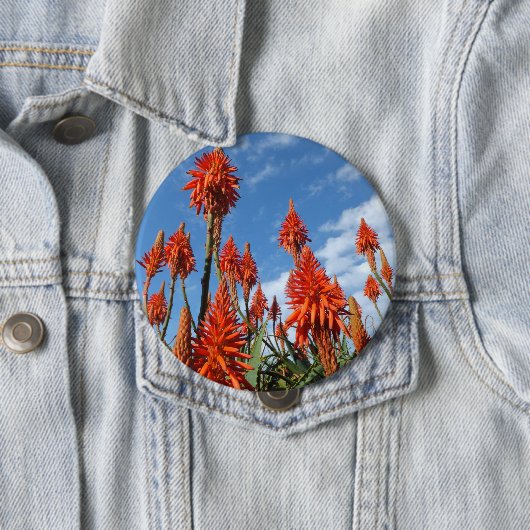 Aloe Arborescens Knopf Button (Beispiel)