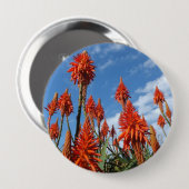Aloe Arborescens Knopf Button (Vorne & Hinten)