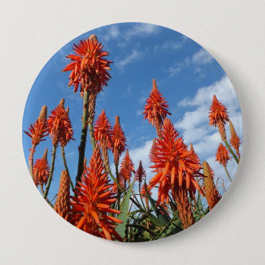 Aloe Arborescens Knopf Button (Vorderseite)