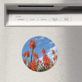 Aloe Arborescens-Magnet Magnet (In Situ (Geschirrspüler))
