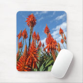 Aloe Arborescens mousepad (Mit Mouse)