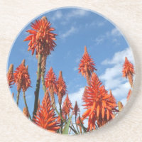 Aloe Arborescens Untersetzer