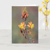 Aloe-Blume Karte (Gelbe Blume)