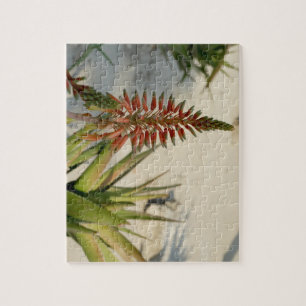 Aloe-Blumen-Blüten-Foto-Puzzlespiel mit Puzzle