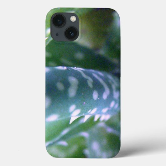 Aloe, Bug-Ansicht Case-Mate iPhone Hülle (Rückseite)