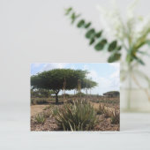 Aloe factory aruba postkarte (Stehend Vorderseite)